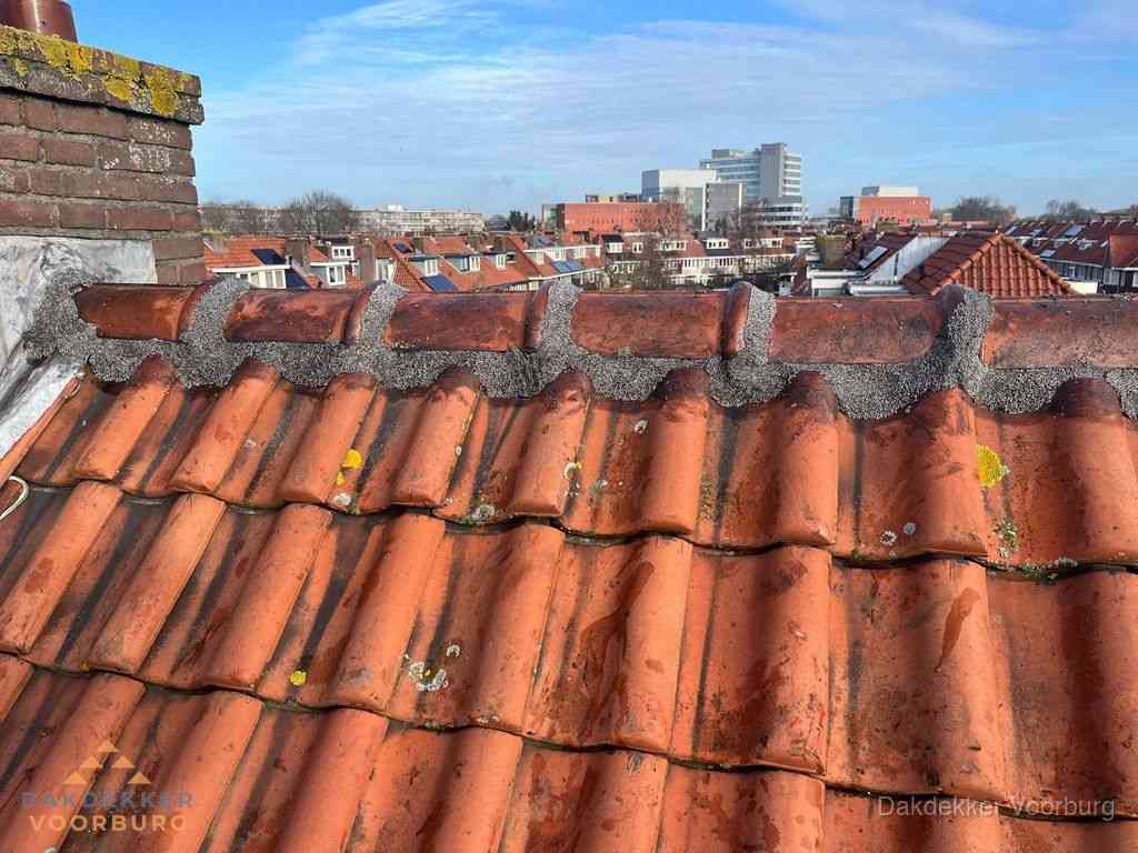 Nieuw bitumen plat dak met uitzicht over woonwijk in Voorburg