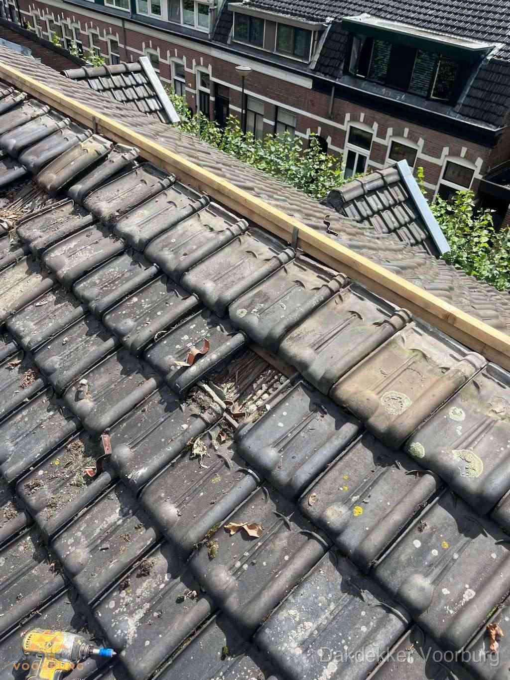 Dakonderhoud aan schuin pannendak met nokvernieuwing in Voorburg