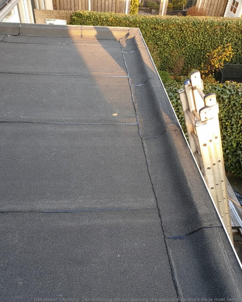 Dakbedekking Schuur Voorburg 1