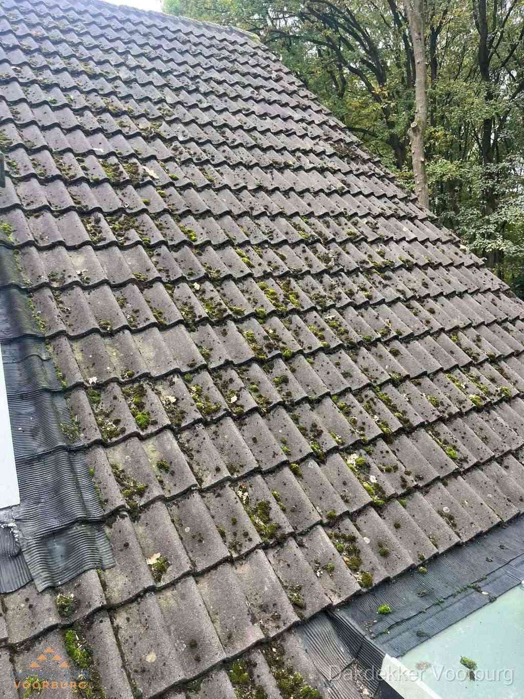 Verweerd pannendak met mosgroei dat renovatie nodig heeft in Voorburg