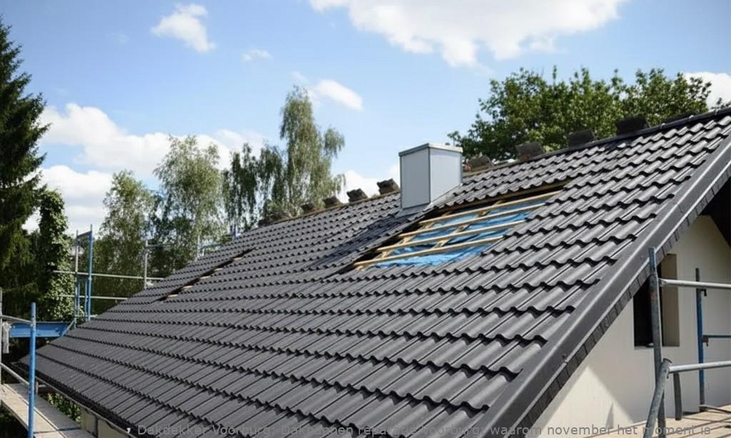 Dakpannen Reparatie Voorburg