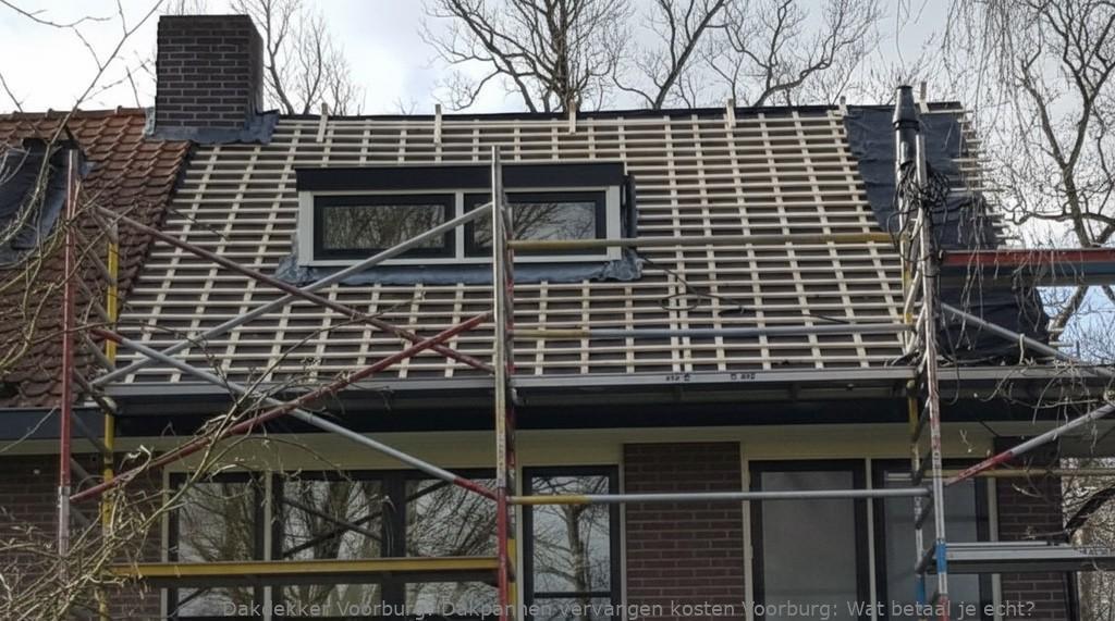 Dakpannen Vervangen Kosten Voorburg