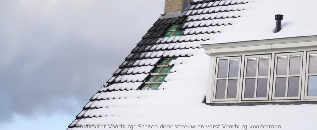 Schade Door Sneeuw En Vorst Voorburg