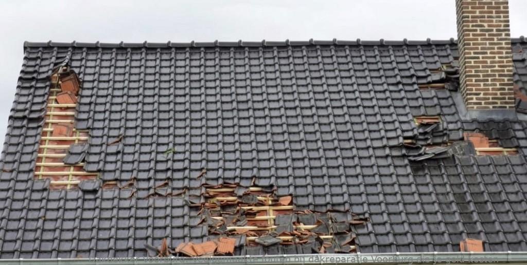 Veelgemaakte Fouten Bij Dakreparatie Voorburg